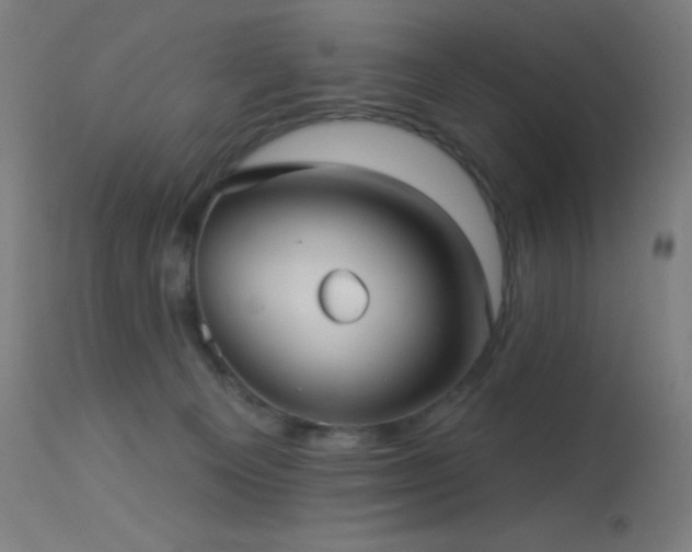 X0000114180129200910081508