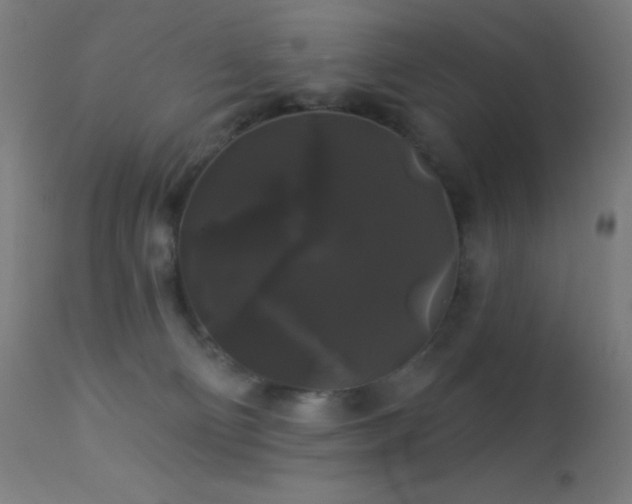 X0000114180130200910081508