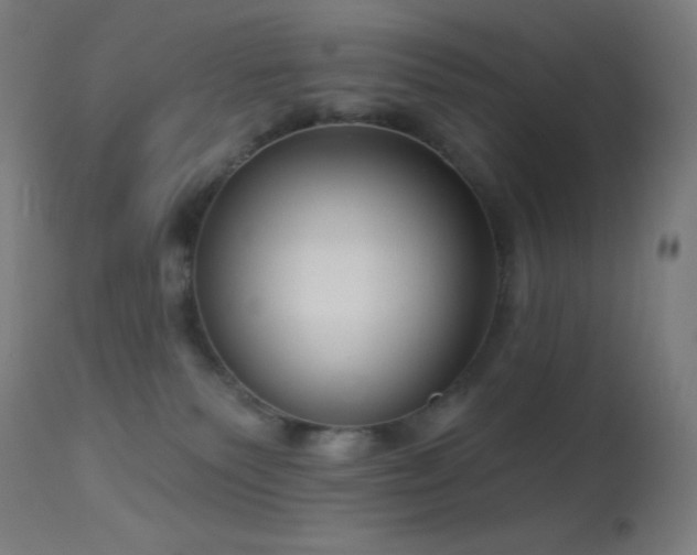 X0000114180135200910081508
