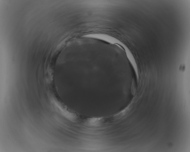X0000114180136200910081508
