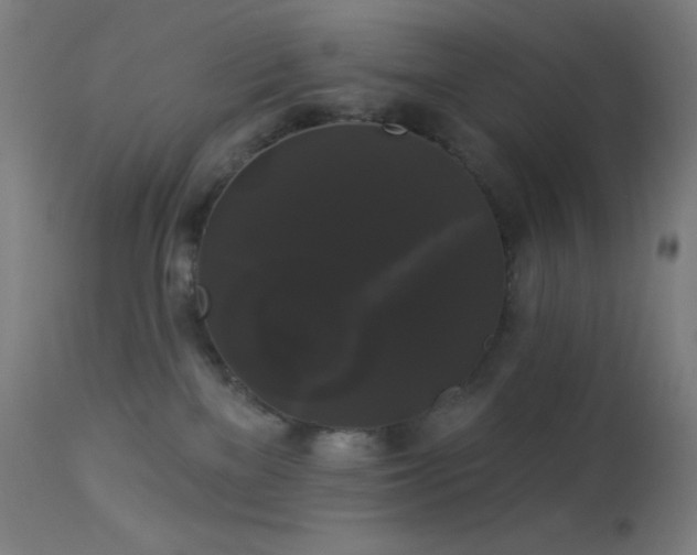 X0000114180137200910081508