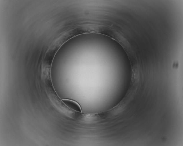 X0000114180141200910081508