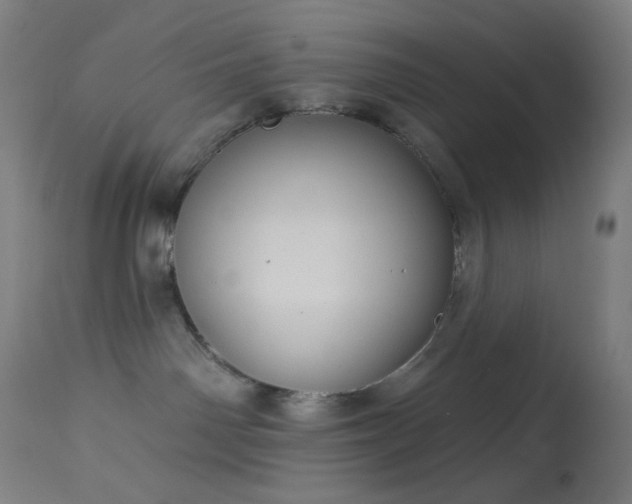 X0000114180142200910081508