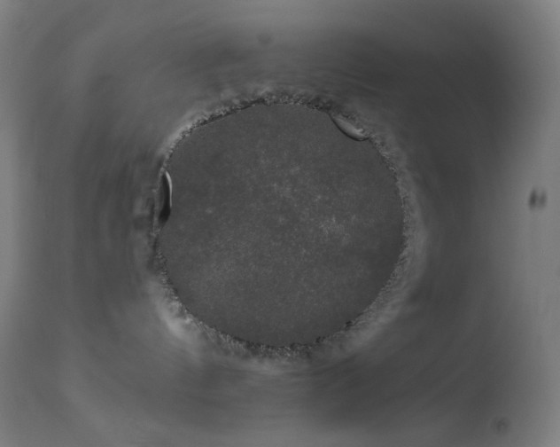 X0000114180144200910081508