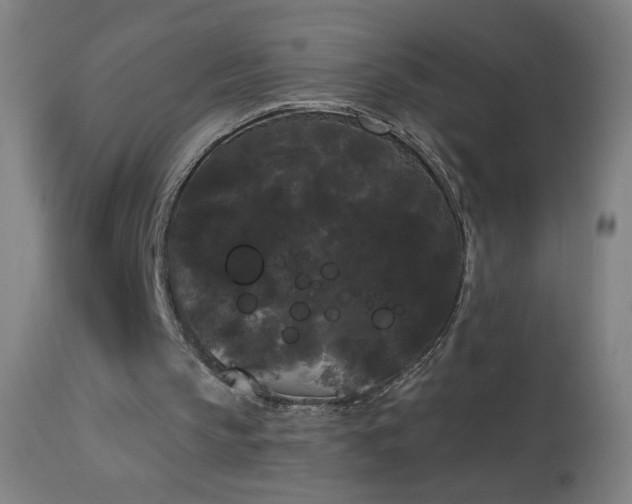 X0000114180145200910081507