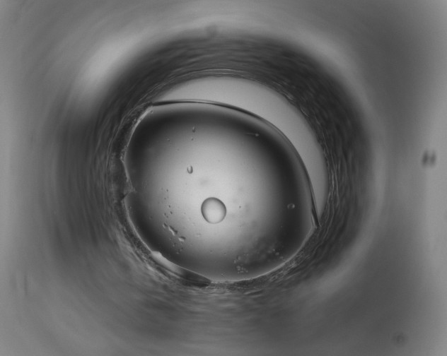 X0000114180146200910081507