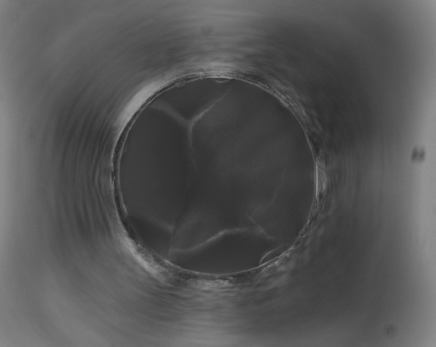 X0000114180147200910081507