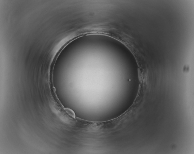 X0000114180148200910081507