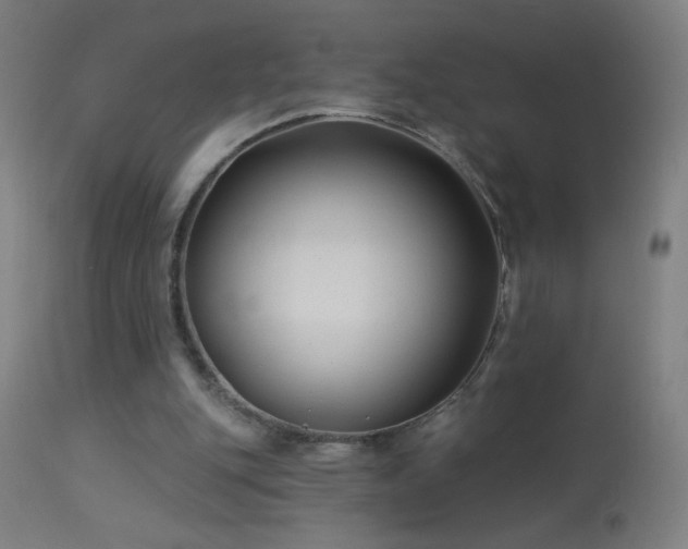 X0000114180151200910081507