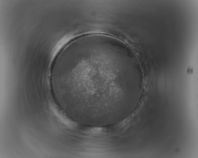X0000114180152200910081507