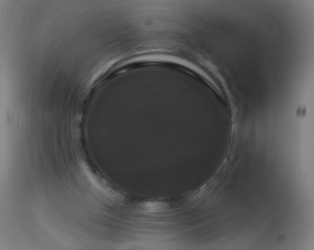 X0000114180154200910081507