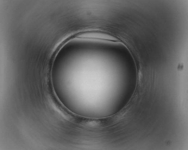 X0000114180156200910081507