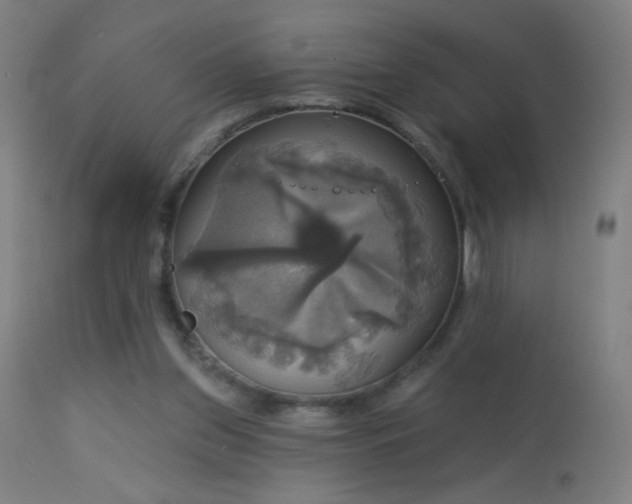 X0000114180157200910081507