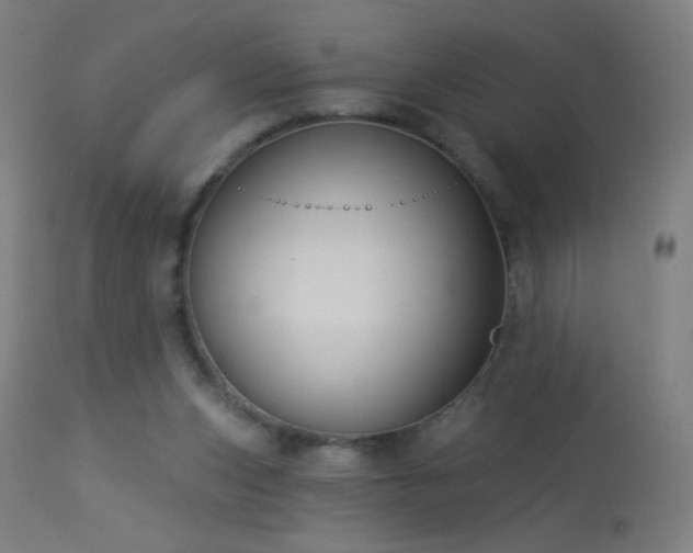 X0000114180159200910081507