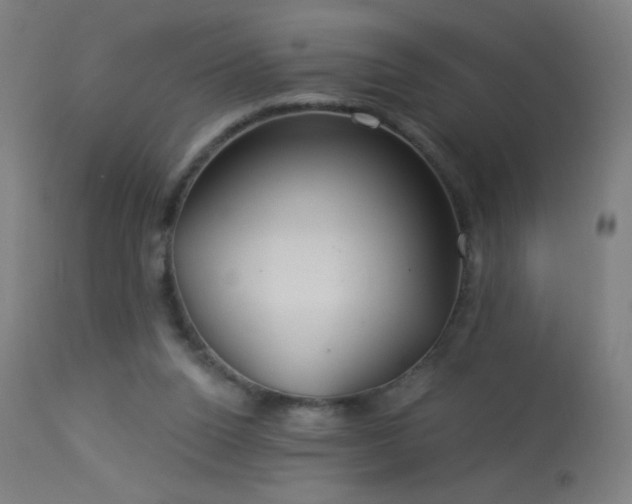 X0000114180160200910081507
