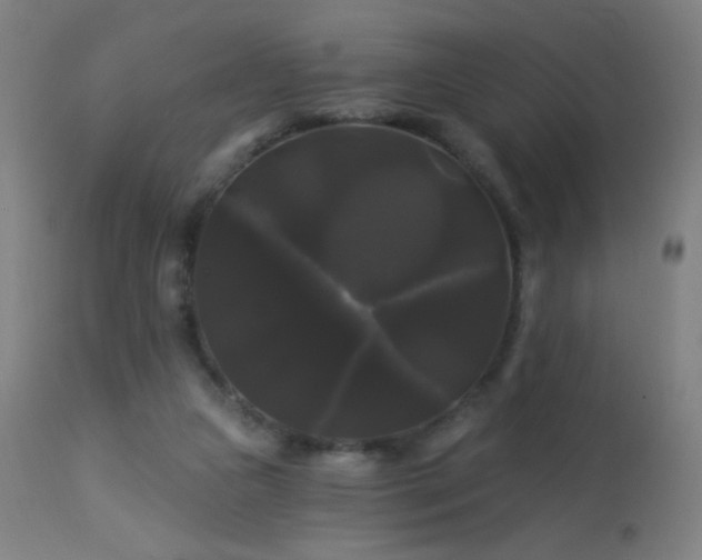 X0000114180161200910081507