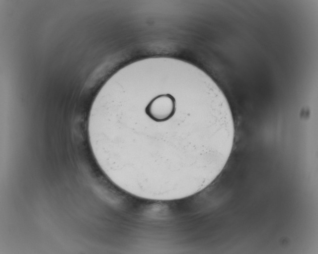 X0000114180162200910081507