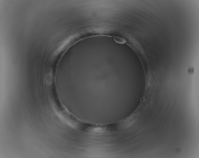 X0000114180163200910081507