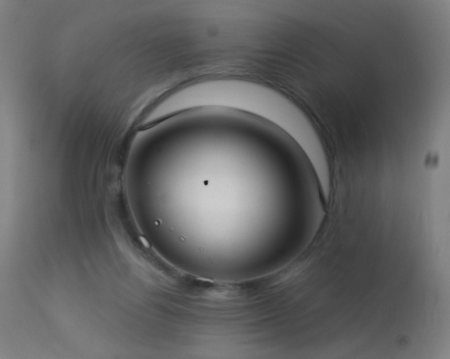 X0000114180164200910081507
