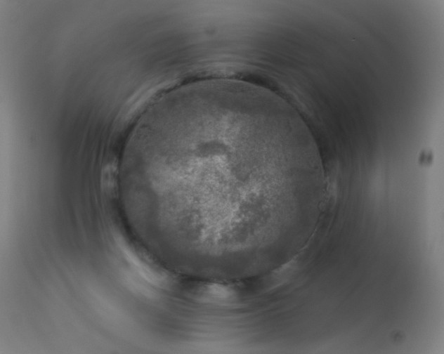 X0000114180166200910081507