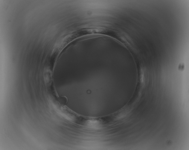 X0000114180169200910081507