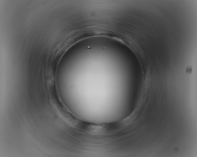 X0000114180170200910081507