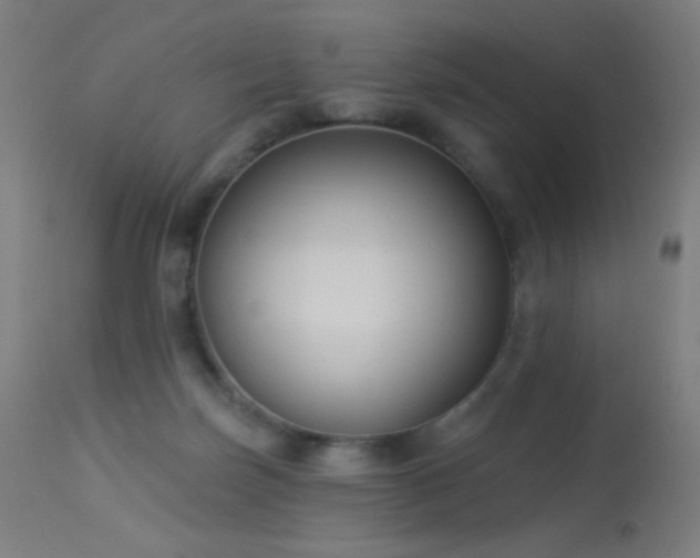 X0000114180171200910081507
