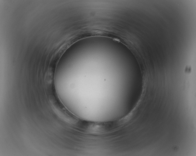 X0000114180174200910081507
