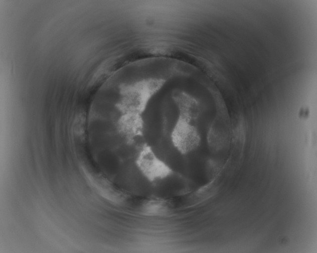 X0000114180175200910081507