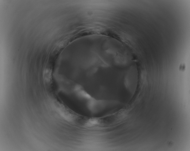 X0000114180177200910081507