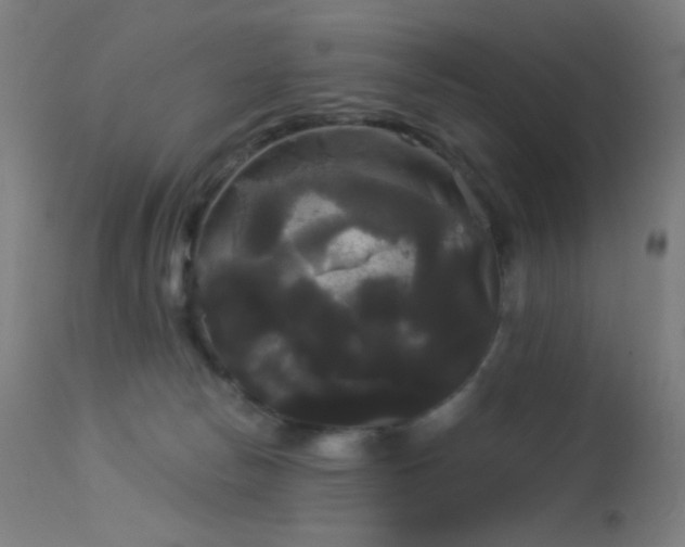 X0000114180178200910081507