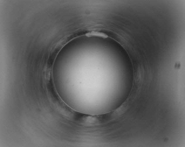 X0000114180180200910081507