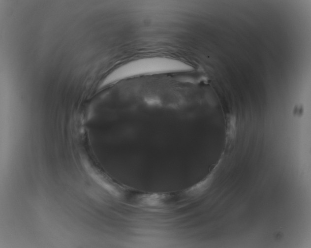 X0000114180182200910081507