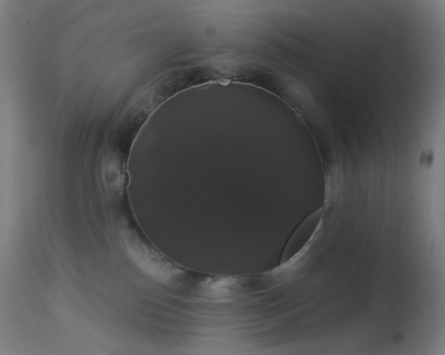X0000114180186200910081507