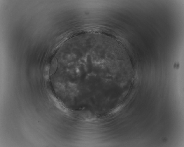 X0000114180189200910081507
