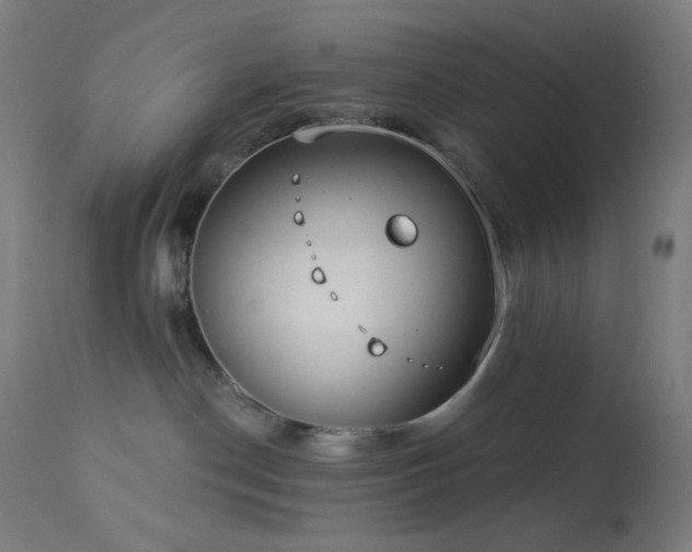 X0000114180190200910081508