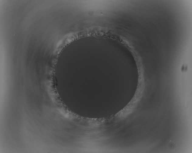 X0000114180192200910081508