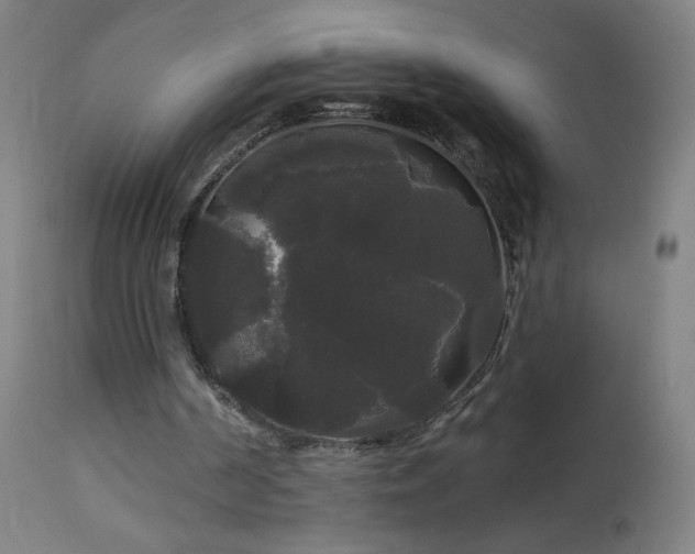 X0000114180194200910081507