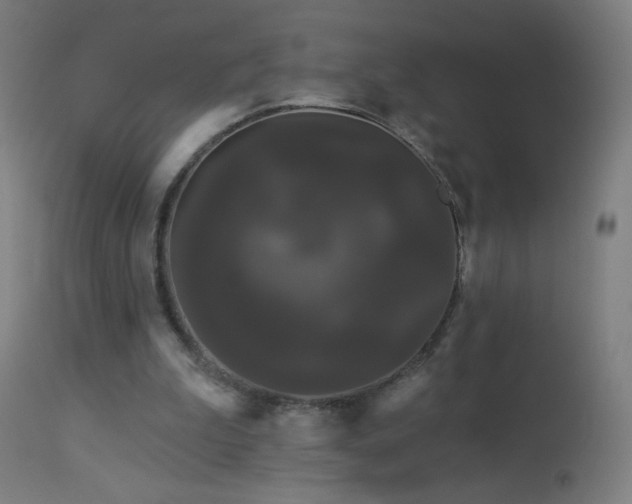 X0000114180199200910081507