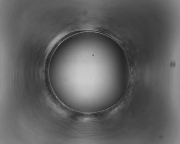 X0000114180200200910081507