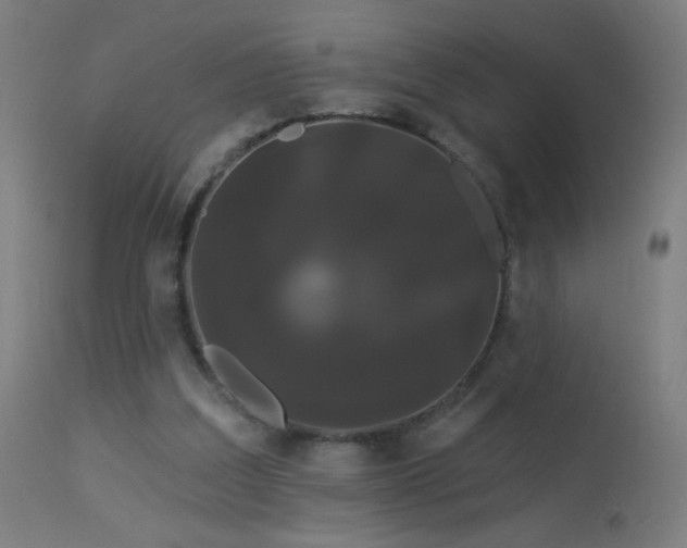 X0000114180203200910081507