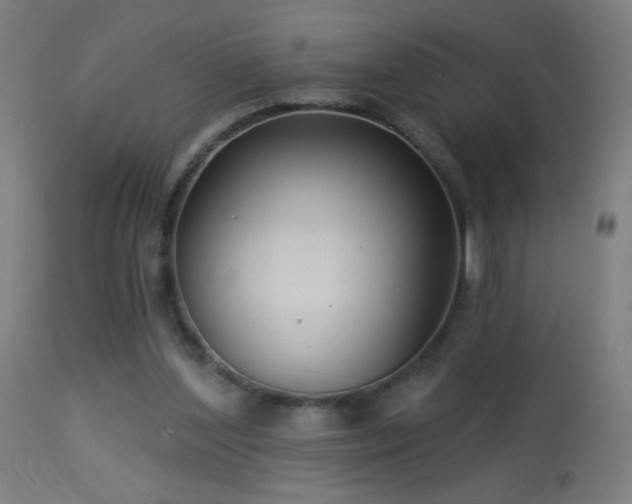 X0000114180204200910081507