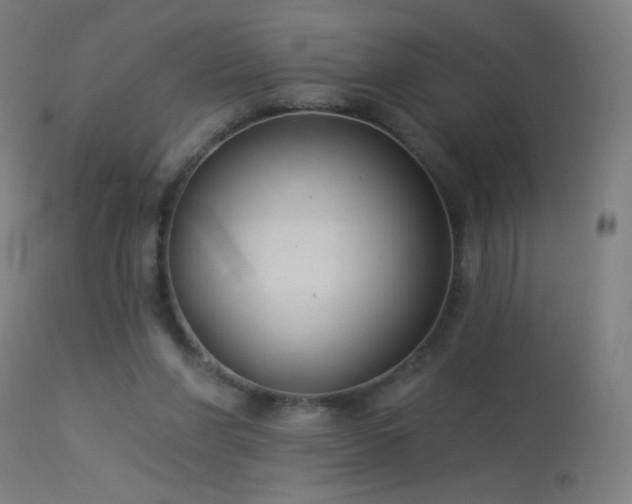 X0000114180206200910081507