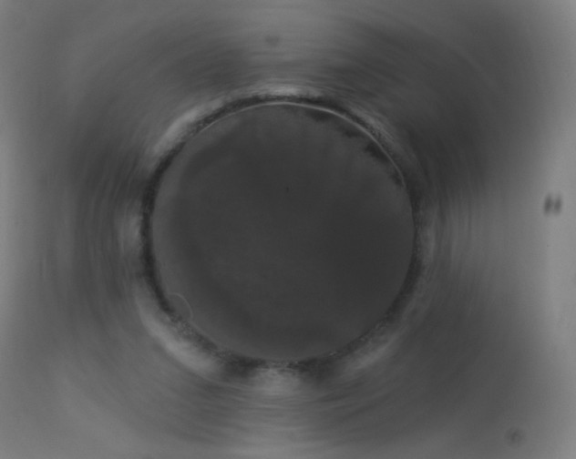 X0000114180207200910081507