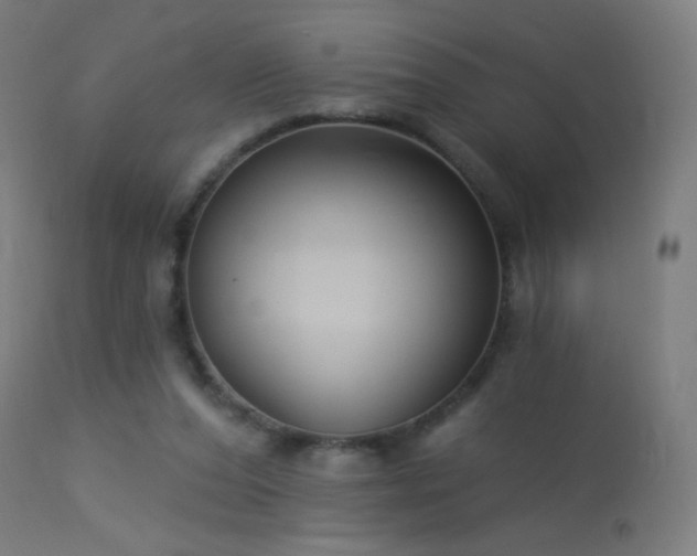 X0000114180208200910081507