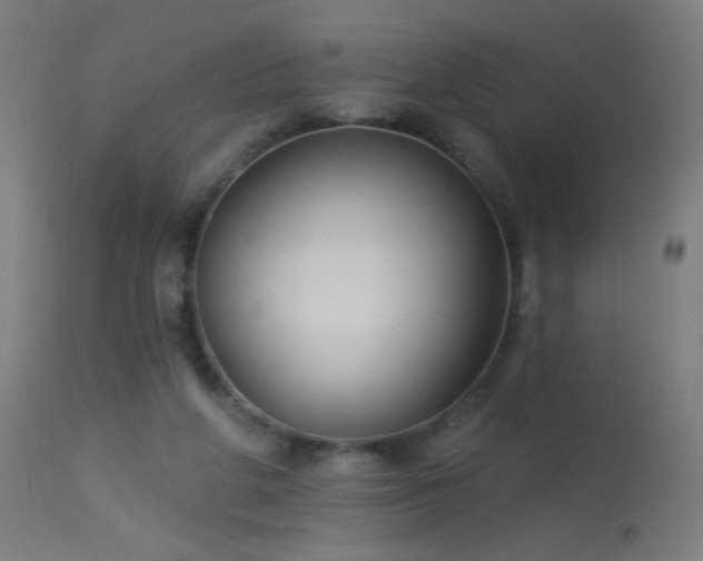 X0000114180210200910081506