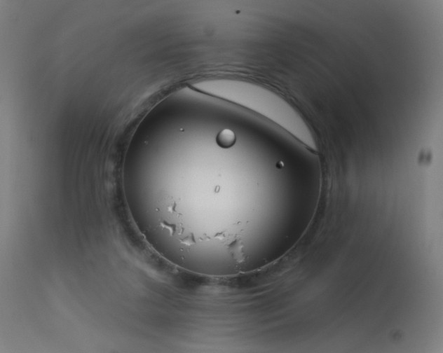 X0000114180211200910081506