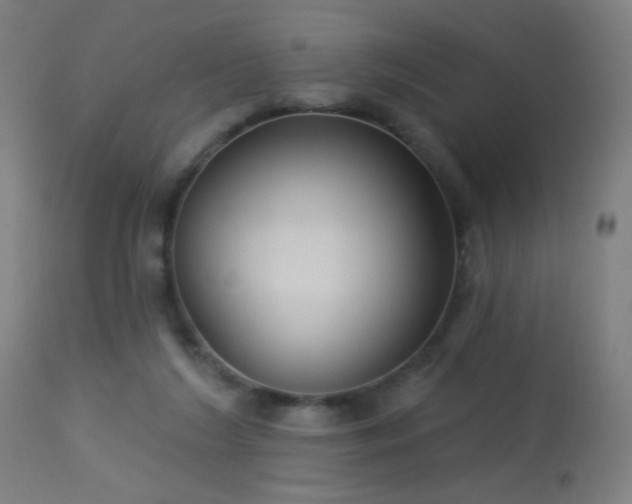 X0000114180212200910081506