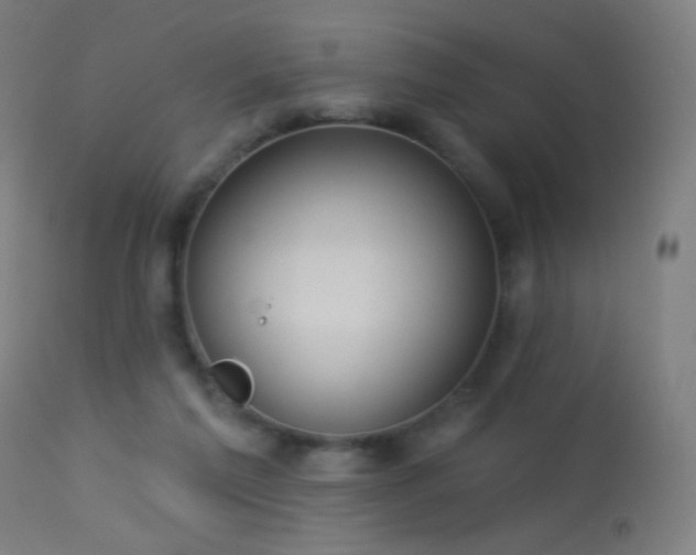 X0000114180213200910081506