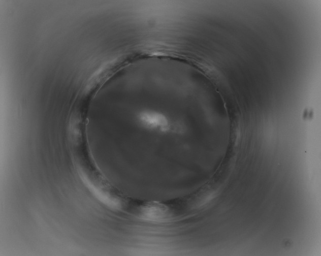 X0000114180215200910081506